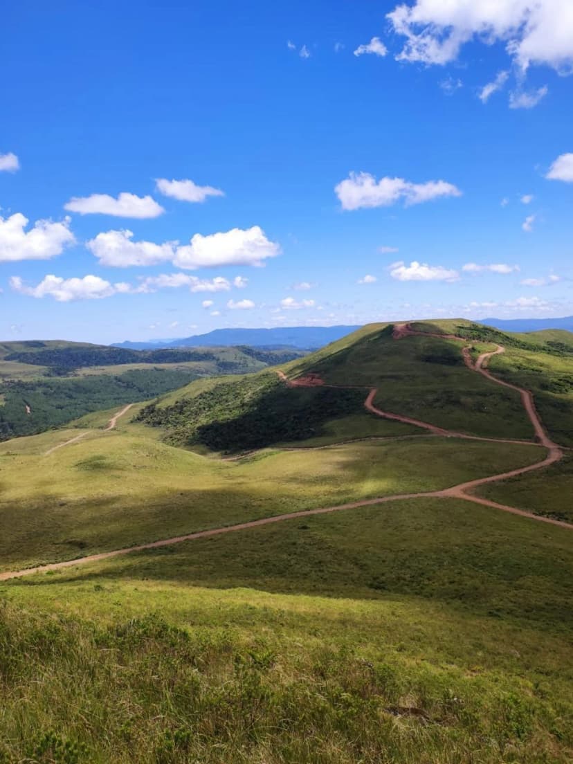 Campo dos Padres - Lote 88